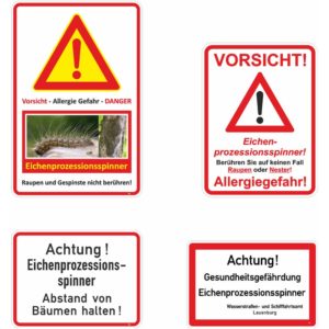 Eichenprozessionsspinner