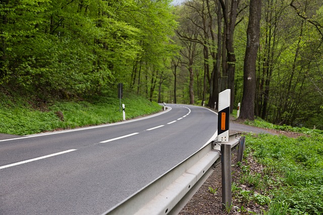 Leitpfosten am Straßenrand